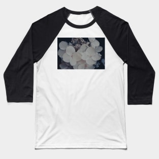 Be a Light in the Darkness x Hydrangea flower photograph Baseball T-Shirt